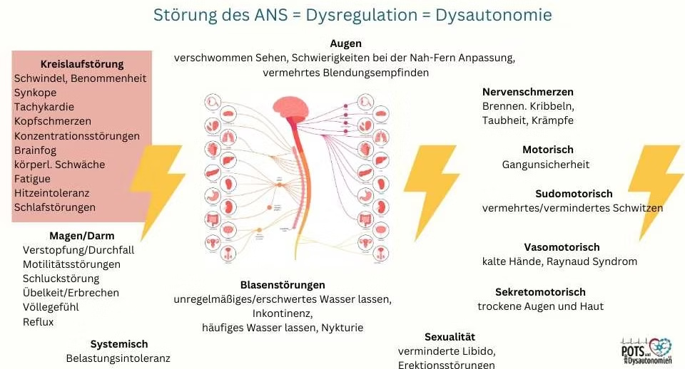 symptome stoerungANS